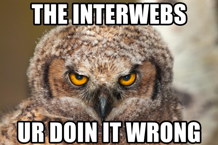 Owl interwebs graphic